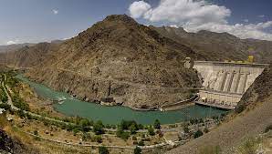 توکتو گول